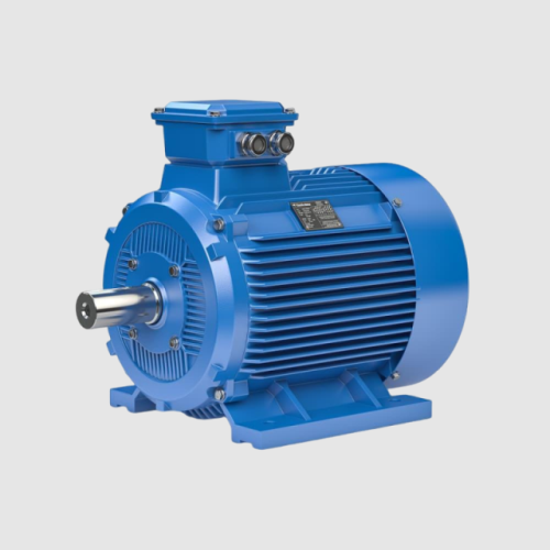 Electric induction motor